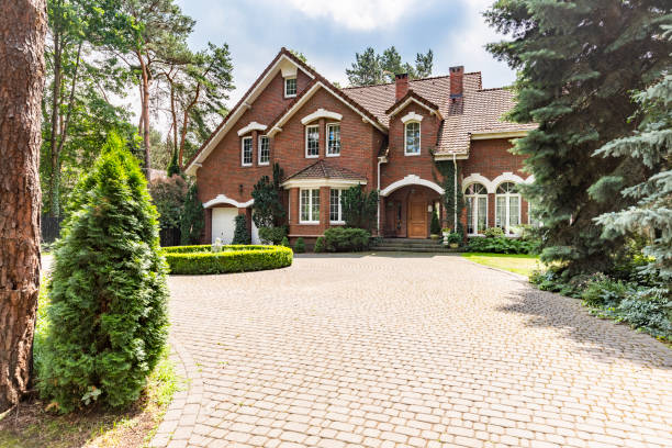 Best Professional Driveway Pavers  in Louise, TX