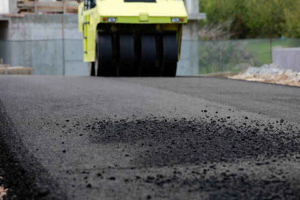 Best Driveway Paving Contractor  in Louise, TX